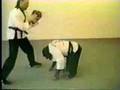 Kung-Fu-Monkey