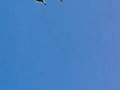 USAF thunderbirds at McChord AFB