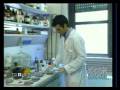 Elettricit� all'arancia - TG ...