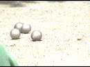 Pétanque Bundesliga 2007 at Dessau