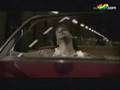 videos de melendi - un violinista en tu tejado