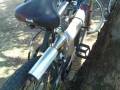 Motorized-bike-Gang-