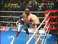 videos de Mirko Cro Cop vs Bob Sapp