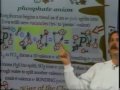 Periodic Table of Chemistry Elements 'Schroeder Electron Vacancies'