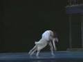 Romeo & Juliet pas de deux