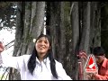 HERMITAÑO FALCON como grano de mostaza