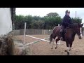 Pony Jumping Well :D