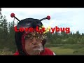 Love Ladybug