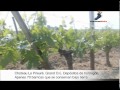 48 HORAS EN SAINT EMILION.wmv