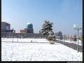 Samarkand (Part I)