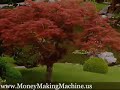 FREE Money Using Google Adsense and Youtube Videos Get Paid by Paypal Make Money Online FREE