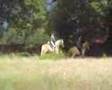videos de Lits+Lauwers040 Skeanpaad01