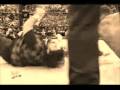 WWE Awesome Finishers