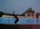 mortal na beira da piscina