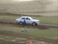 Datsun Rally X