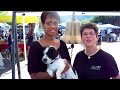 Top Dog Eileen Proctor Emcees 2009 St. Francis Festival/PACC911 Adoptathon
