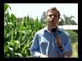 Jornal da Univates - PRONAF