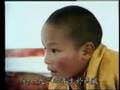 HH the 17th Karmapa & Situ Rinpoche