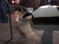 Les jackass de montpellier