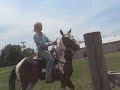 Shamus Barrel Racing * FOR SALE *