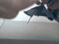 transformers-dreadwing.html