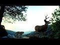interpol-no-i-in-threesome.html