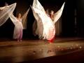 Espectáculo de Dança do Ventre - Véu Wings