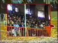 karate show   ustad haidar ali habibi 