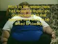 fat jiggly can can