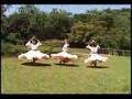 danza galopera