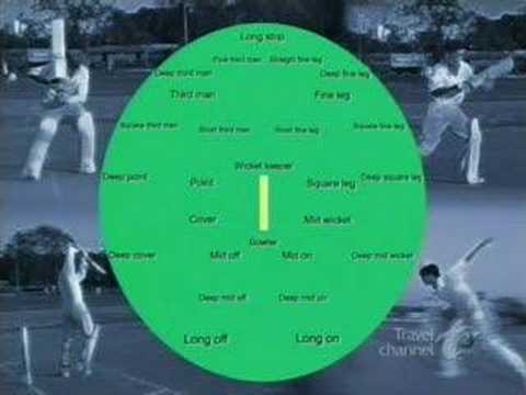 Cricket