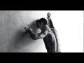 Max Richter - Dona Nobis Pacem (Saison 1)