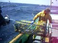 spring lobstering
