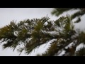 Хакасия Философия зи