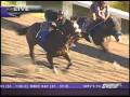 Zenyatta Work 10/31/2009