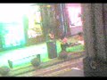 drunk girls screaming at each other