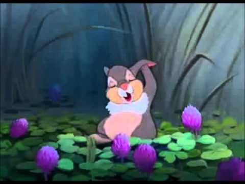 thumper - A collection of all the things Thumper heard from his father. Disclaimer- I own nothing.
