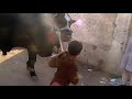 (qurbani in landhi 2009)black king's cat walkn wid Taha & Arham.MOD