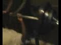 Montrel hittin 265.!