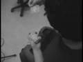 Faisan Naipes- Stop Motion