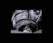 APOLLO 20 new videos new adress