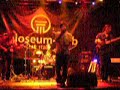 Nesad Selman live at the Coloseum