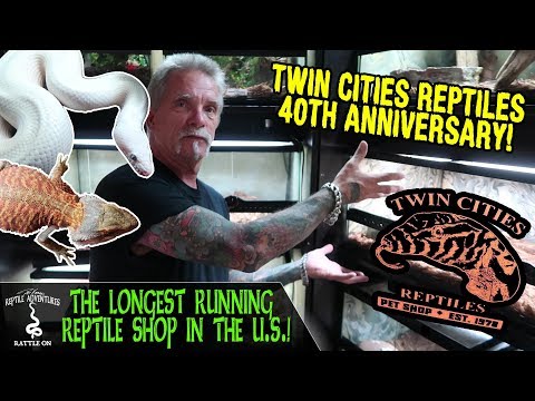 YouTube reptile video