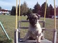 mont�k na houpa?ce