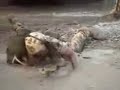 stupid army soldier stupid army soldier