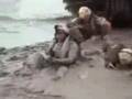 stupid army soldier