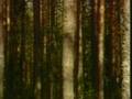 videos de The Wildlife and Scenery of Europe  Part 09