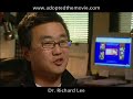 Adoption - Asian Stereotypes Adoption - Asian Stereotypes