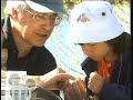 Exploring the Forest with Emily Yeung Exploring the Forest with Emily Yeung