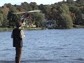 jet cat jet cat